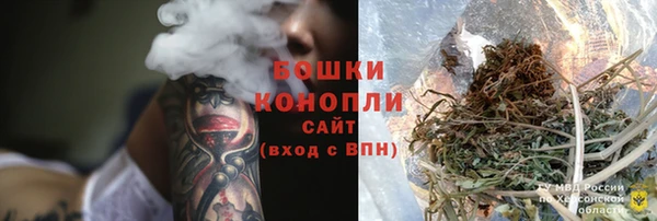 стафф Протвино