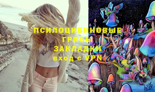 мяу мяу мука Пролетарск