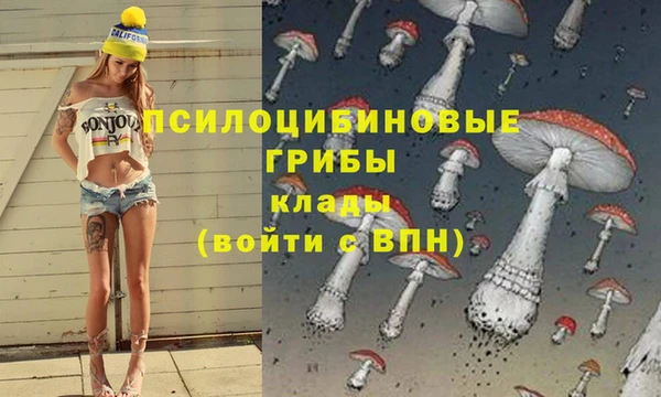 мяу мяу мука Пролетарск