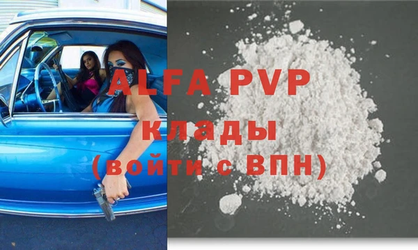 стафф Протвино