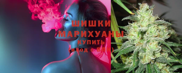 мяу мяу мука Пролетарск