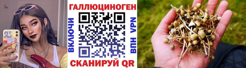 Купить  Монино  Галлюциногенные грибы прущие грибы 